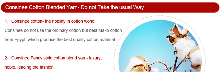 Consinee Cotton cashmere blended yarn maschine knitting for knitted shirt